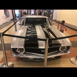 Meet your Posher, Anthony